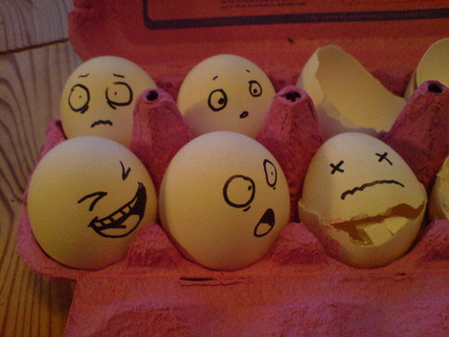 卵たち.jpg